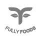 logo-psd-gris